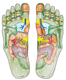 Fußreflexzonen n. Hanne Marquardt